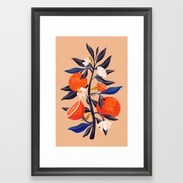 Orange Tree, Botanical Painting Framed Art Print