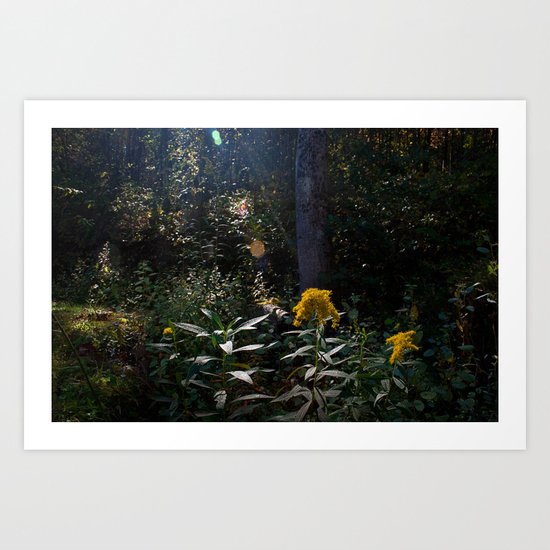 Cynefin. Art Print