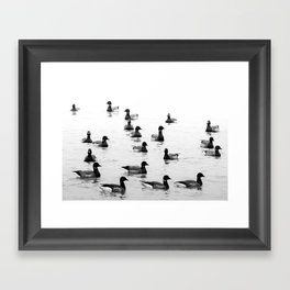 Brent geese in black and white | Goose | Bird | Nature photography  Framed Art Print