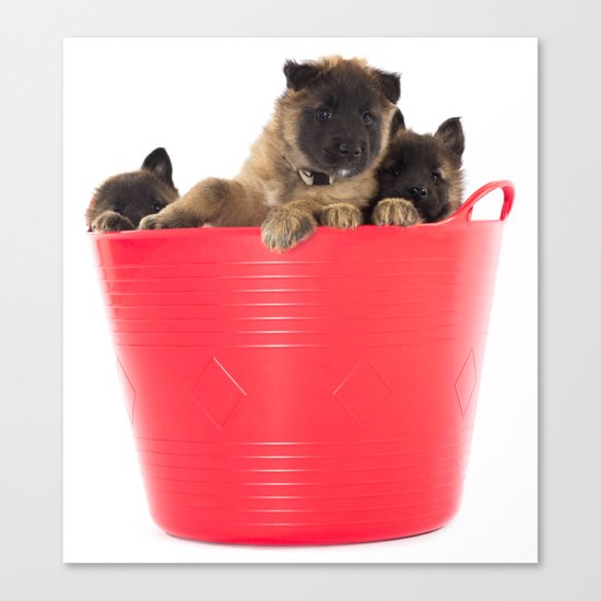 Three puppies in red laundry basket Canvas Print