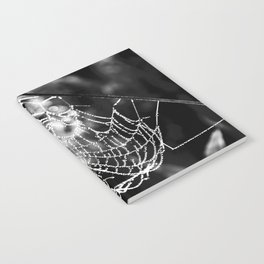 Spider's web with morning dew nature portrait black and white photograph - photography - photographs Notebook