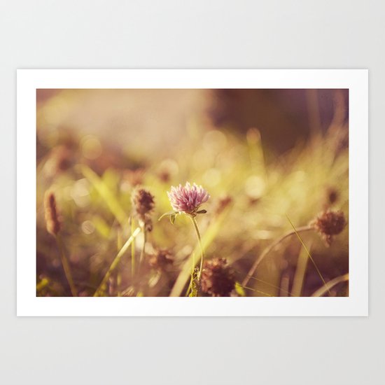 On a Sunny Evening... Art Print