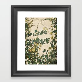 Ivy Leaves Framed Art Print