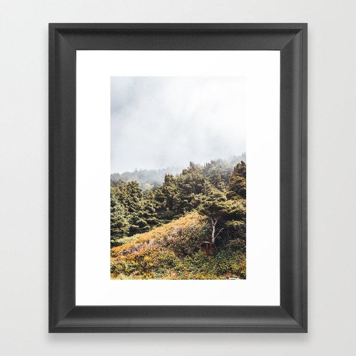 Coastal Fog and Forest Framed Art Print