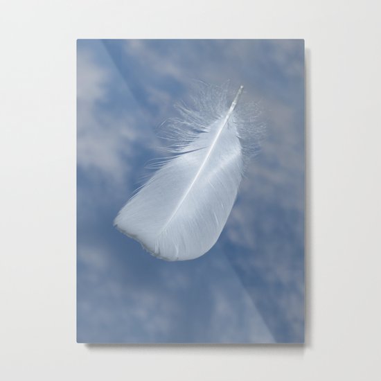 White swan feather Metal Print