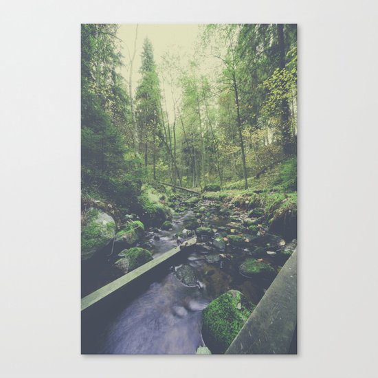 Mountain of solitude Canvas Print