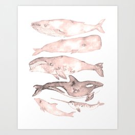 Set of 6 pink whale watercolor painting print art Art Print