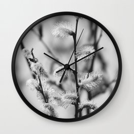 Pussy Willow in Black and White | Nekoyanagi Japanese Tree | Salix gracilistyla | Quaint flowers Wall Clock