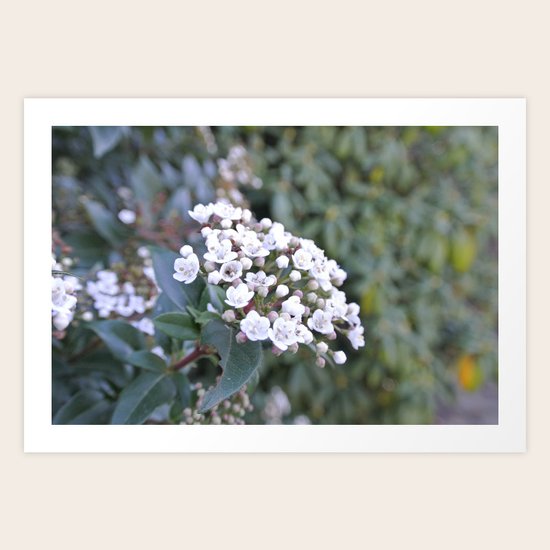 Cluster Art Print