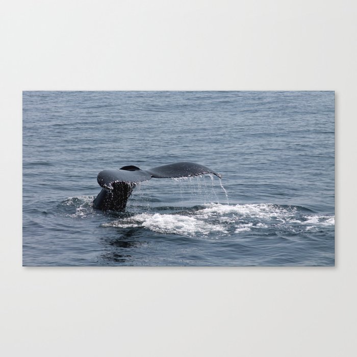 Whale Tale Atlantic Ocean Canvas Print By Griffelle Society6