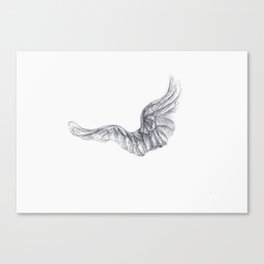 Wings Canvas Print