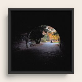 Prospect Park Framed Canvas