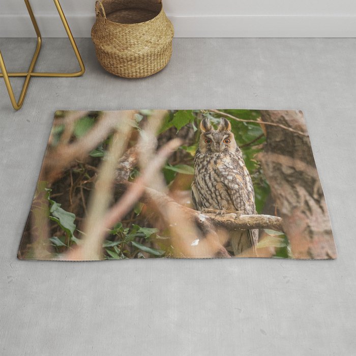 Long eared owl sitting on a tree (Asio otus) Rug