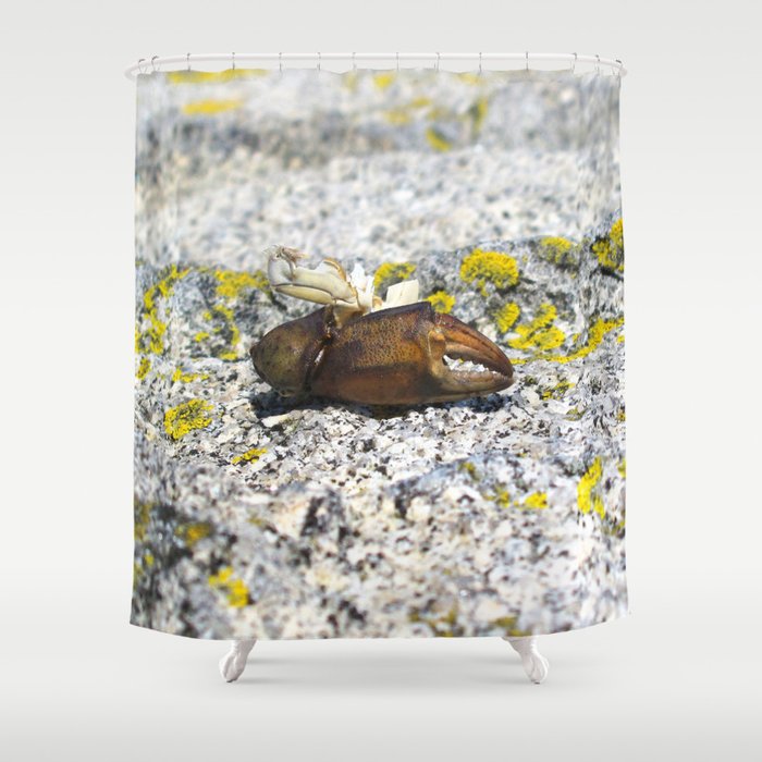 Shower Curtain By Carlson Imagery, Nature Shower Curtain Canada
