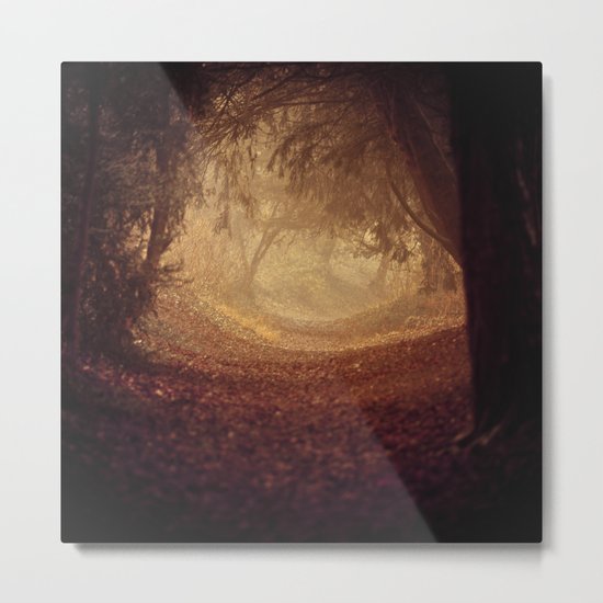 Where's the white rabbit? Metal Print
