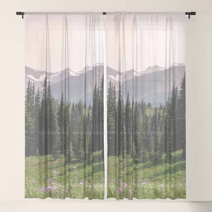 Sheer Curtain