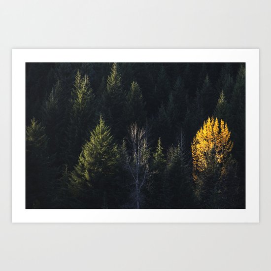 Fall at Trillium Lake, OR Art Print
