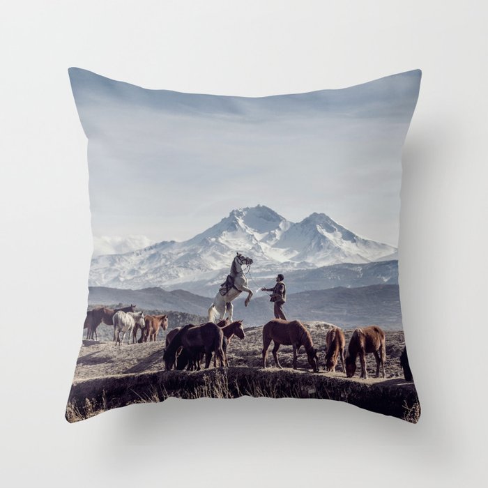Throw Pillow