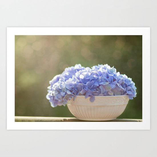 Hydrangea Bowl Art Print