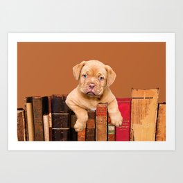 Old Books and Bordeaux Bulldog puppy Art Print