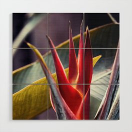 Exotic Beauty With Palm Leaves Wood Wall Art