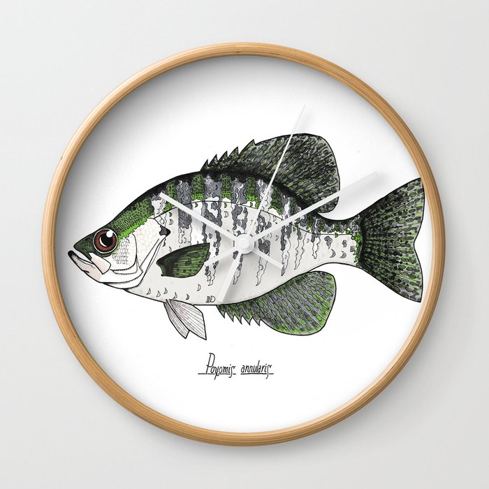 Poxomis annularis - White Crappie Wall Clock