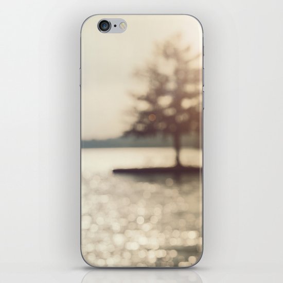 Silver Lake iPhone & iPod Skin