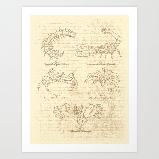 Manus Creatura Art Print