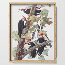 Pileated woodpecker edit, Birds of America, Audubon Plate 111 Serving Tray