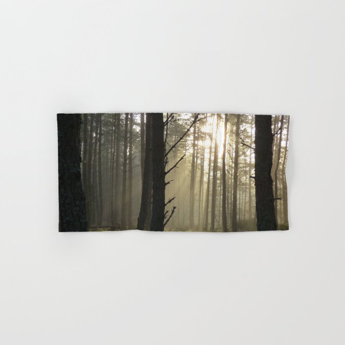 Winter Sun Beams in a Scottish Forest Hand & Bath Towel