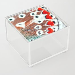 Heart Wings Acrylic Box