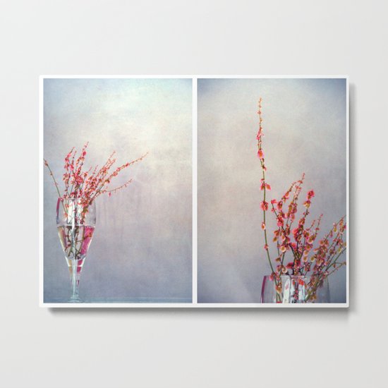 pensoj II Metal Print