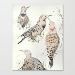 Flickers by Lenny's Creek Canvas Print
