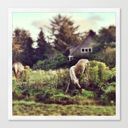 Grazing in the Golden Hour Canvas Print