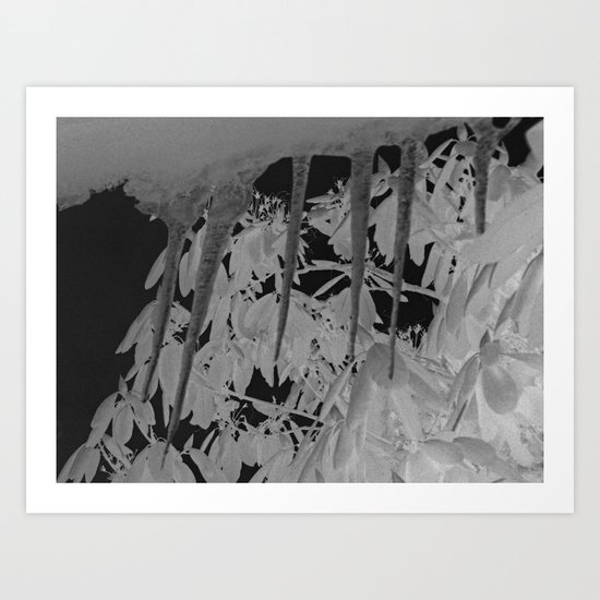 staccato Art Print