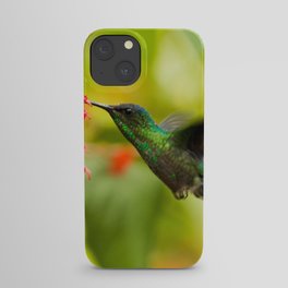 Brazil Photography - A Beautiful Green Humming Bird In Brazil iPhone Case