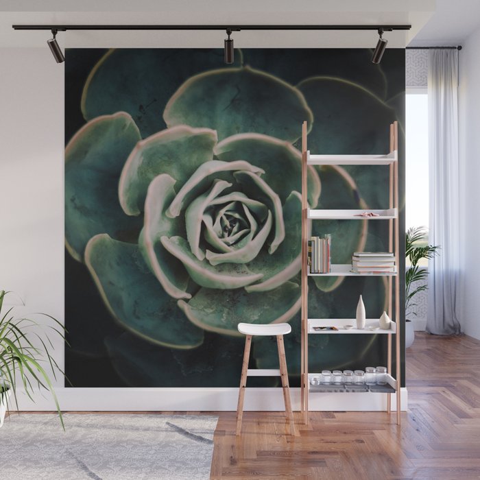 DARKSIDE OF SUCCULENTS IV Wall Mural