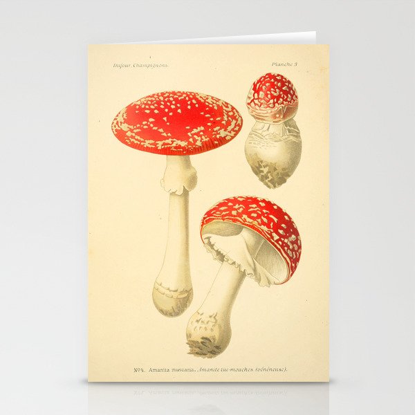 Amanita Muscaria mushroom from "Atlas des Champignons Comestibles et Vénéneux," 1891 (benefitting The Nature Conservancy) Stationery Cards