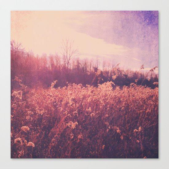 Field of Dreams Canvas Print