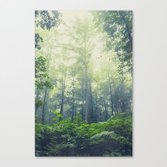 SummEr grEEn Canvas Print