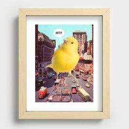 Canary in the City Recessed Framed Print