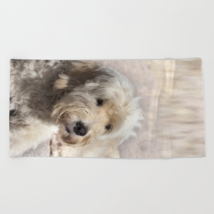 Dog Golden Doodle Beach Towel
