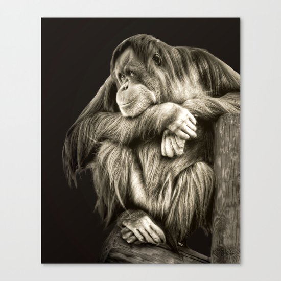 Eye Contact Canvas Print