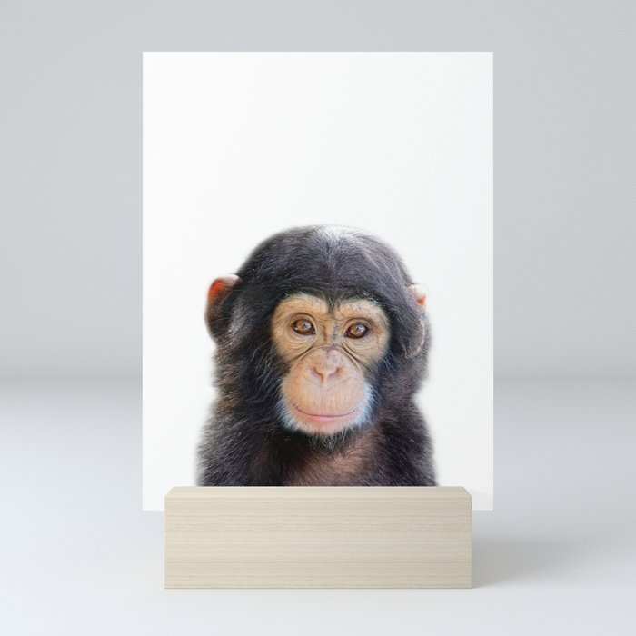Baby Monkey, Safari Animals, Kids Art, Baby Animals Art Print By Synplus Mini Art Print