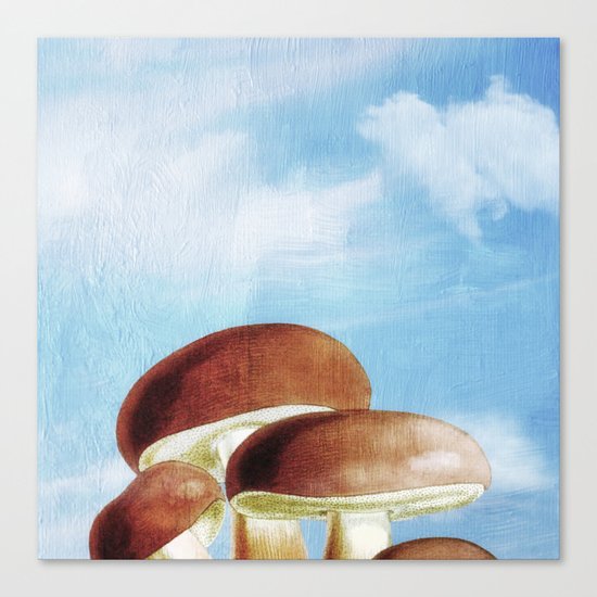 Mushroom Heaven Canvas Print