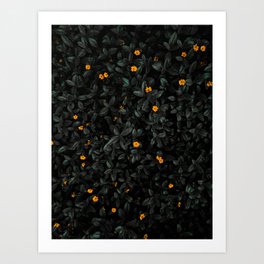 Black And Yellow Style Art Print