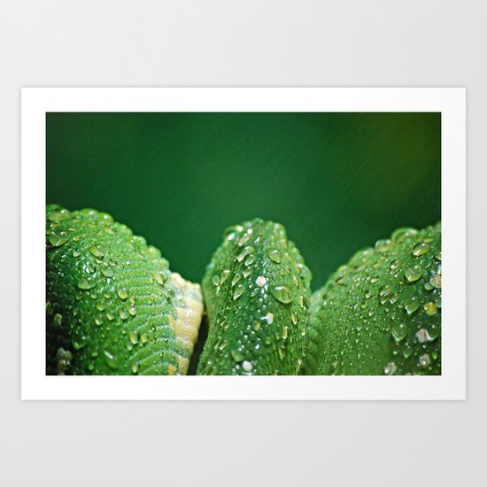 San Diego, California Art Print