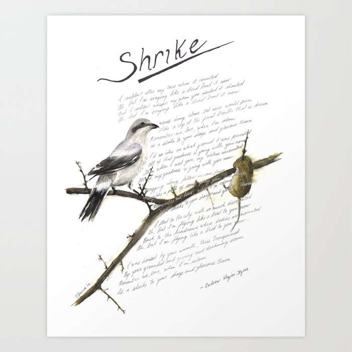 Hozier - Shrike Lyric Art Art Print