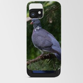 Wood Pigeon on a fir branch in the forest iPhone Card Case