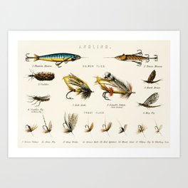 Illustrated Freshwater Fish Angling baits and fishing flies chart Art Print